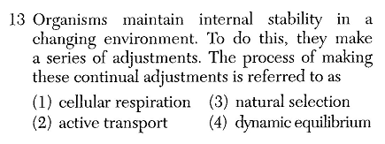 BIOJUN24Q13