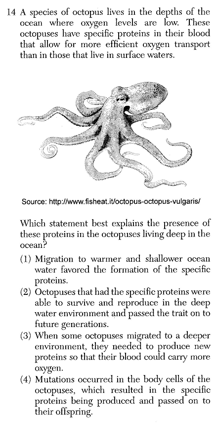 BIOJUN24Q14