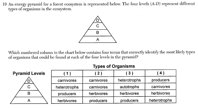 BIOJUN24Q19