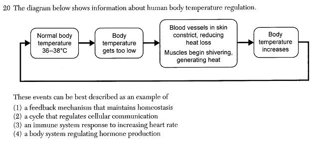 BIOJUN24Q20