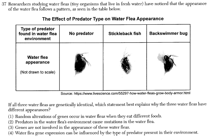 BIOJUN24Q37