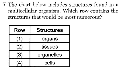 BIOJUN24Q7